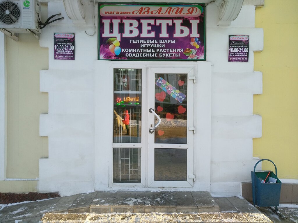 Азалия Магазин Цветов Москва На Азовской Каталог