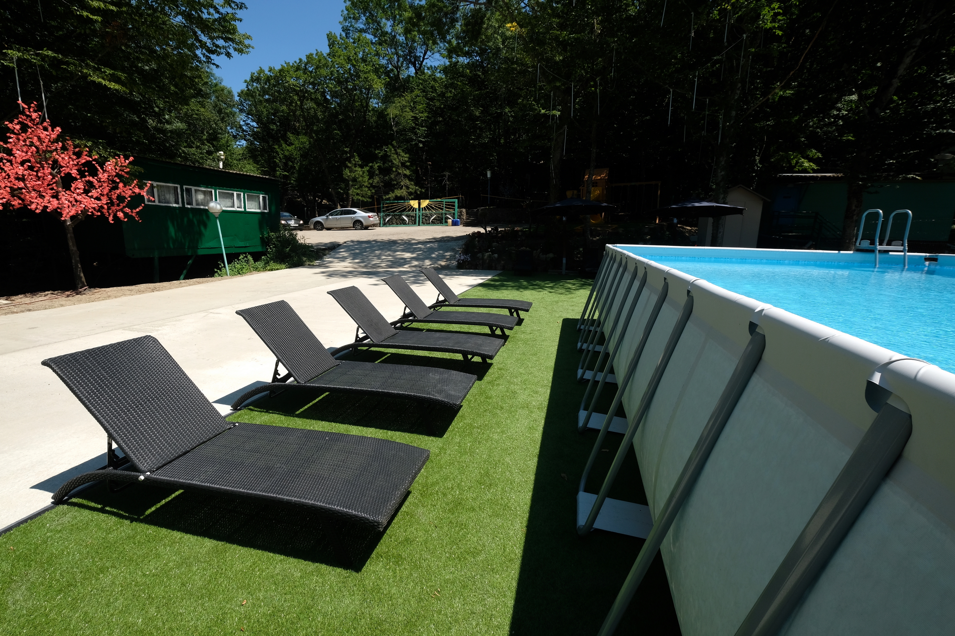 Фото Дельфин Холидей Парк Инал