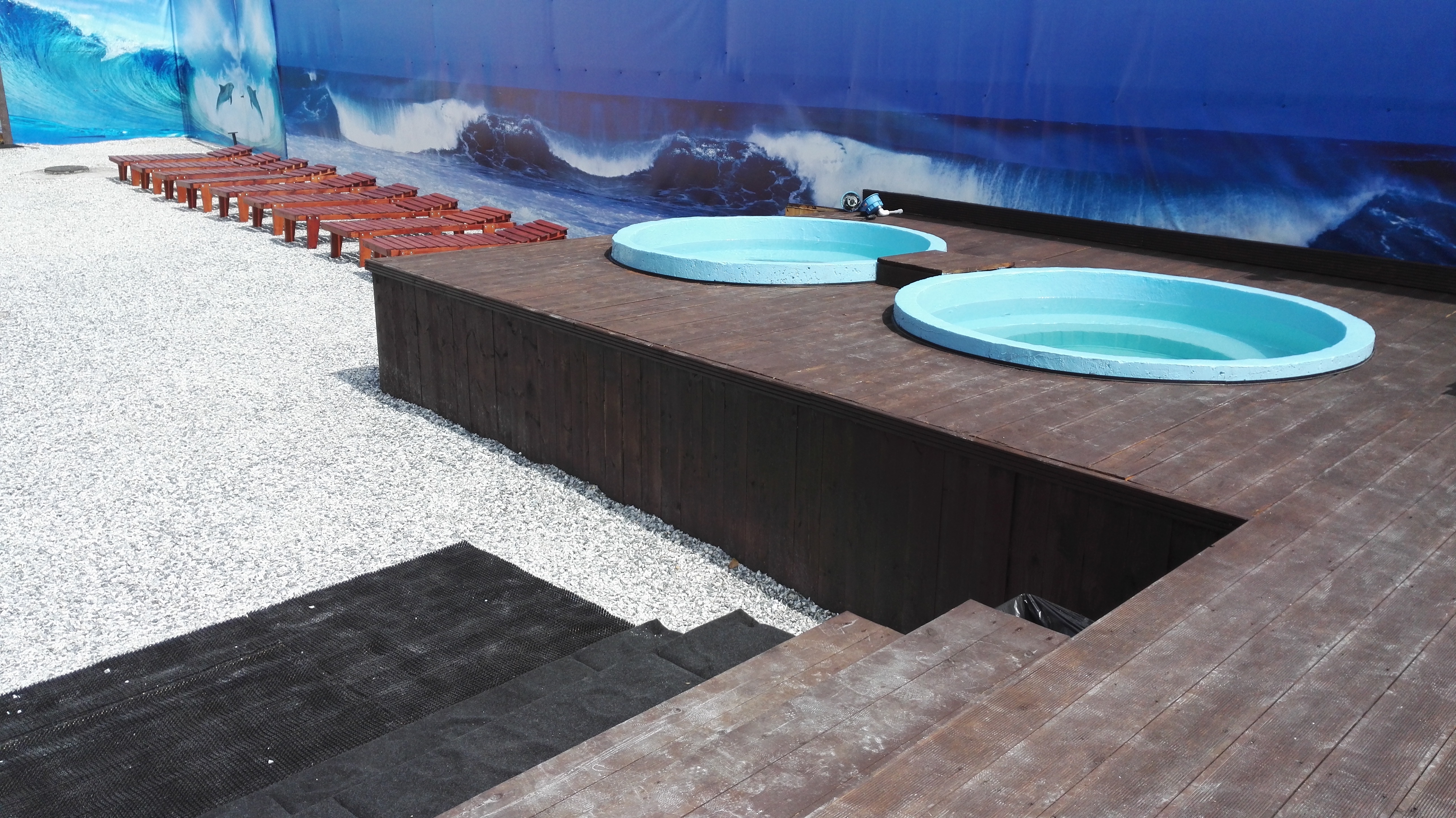 Фото Золотое крыло