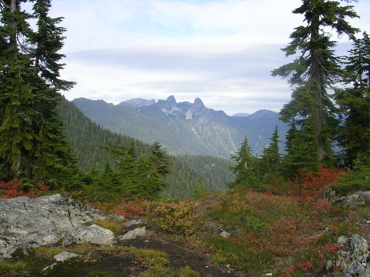 Cypress Mountain Ski area