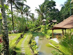 Song Broek Jungle Resort
