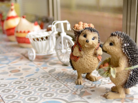 Фото Bella Forest Homestay