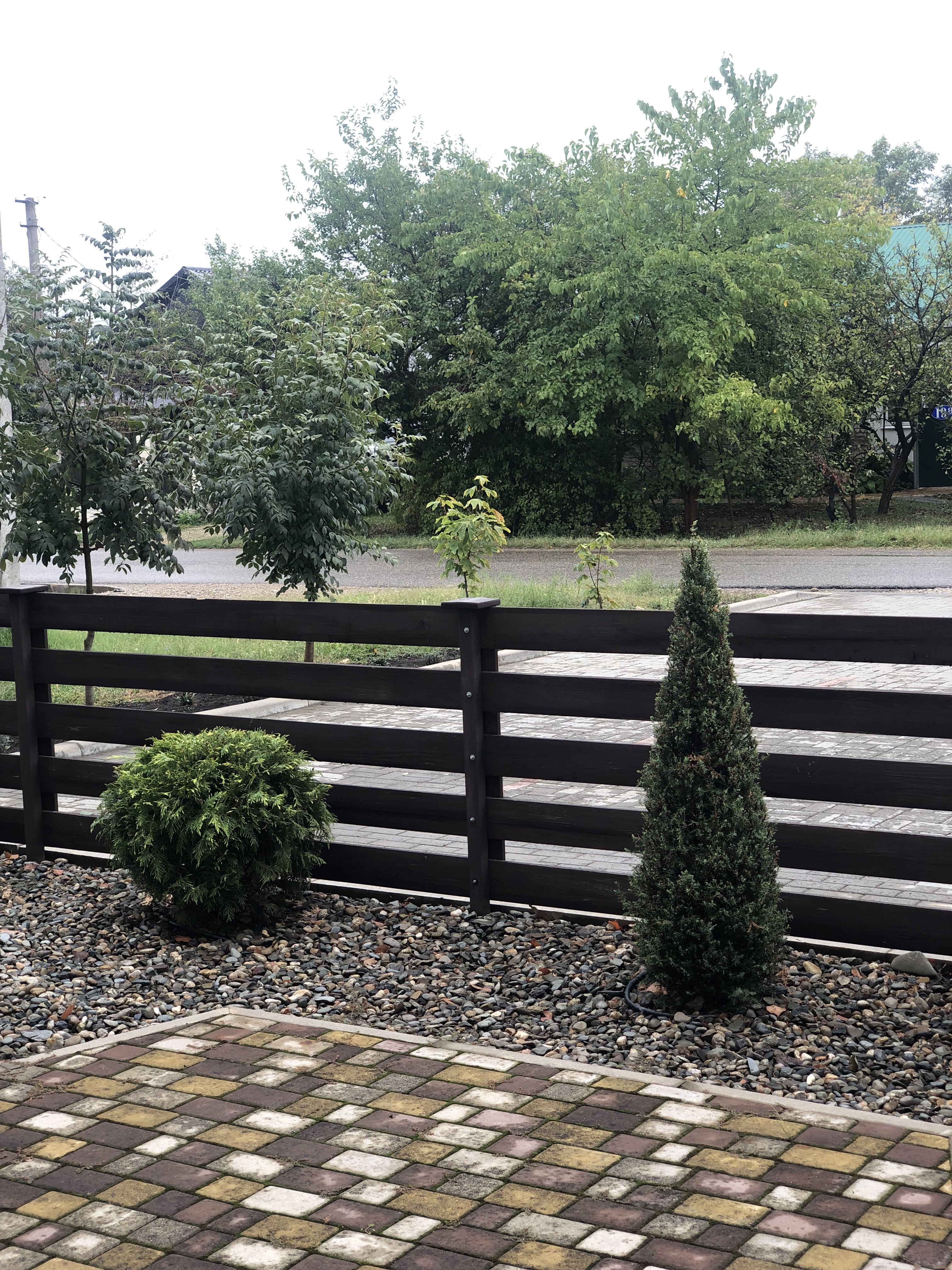 Фото Вертикаль