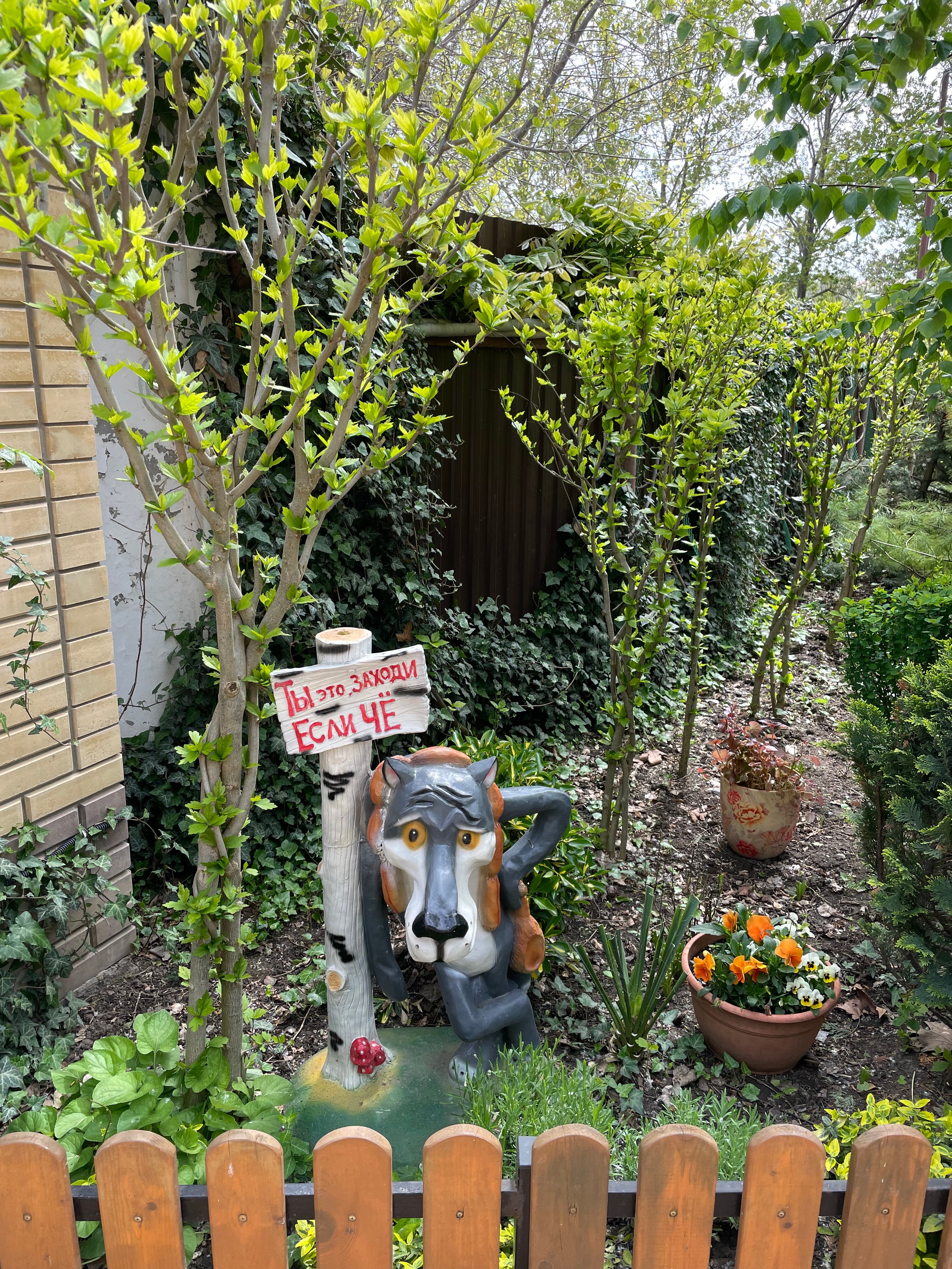 Фото Морские Рифы