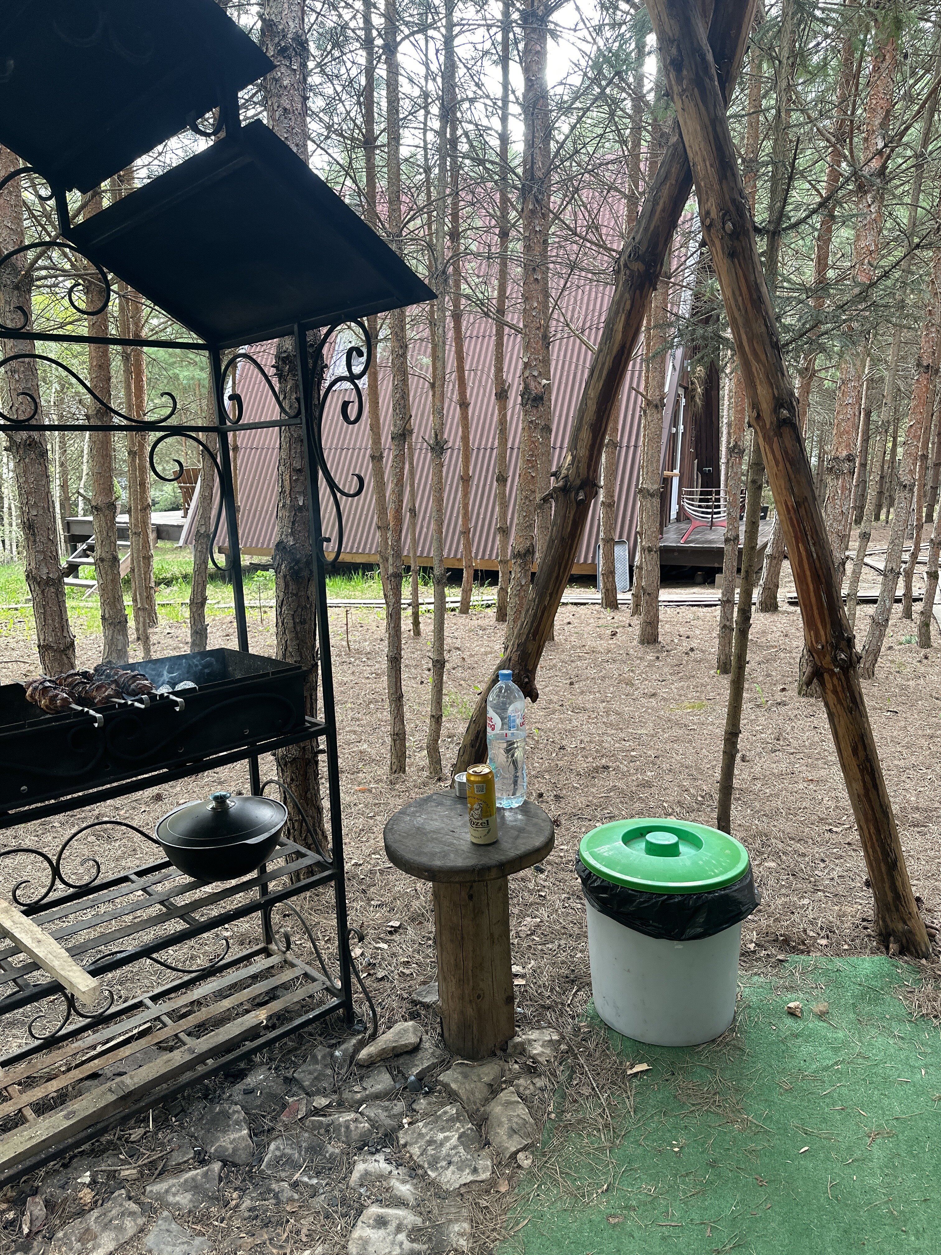 Фото О, Дни в Лесу