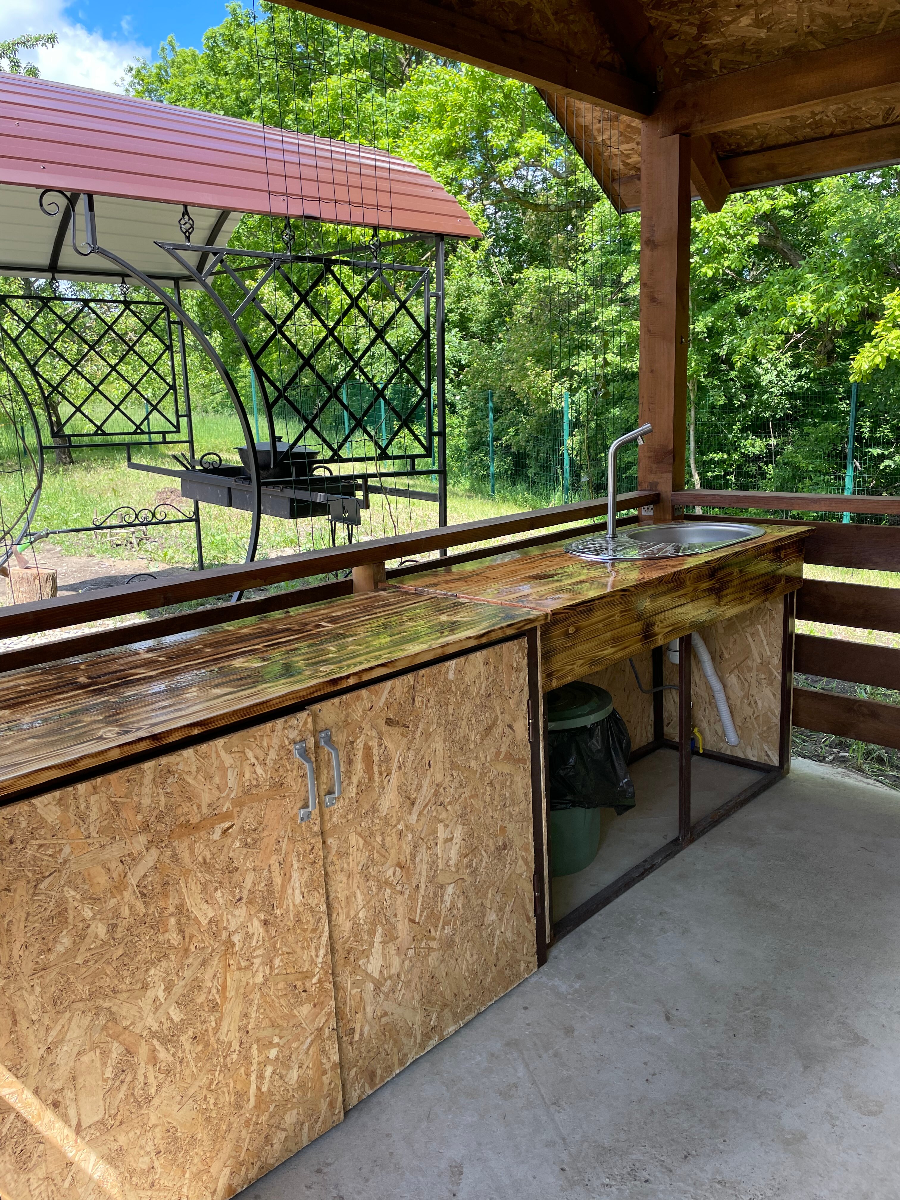 Фото Стрижи