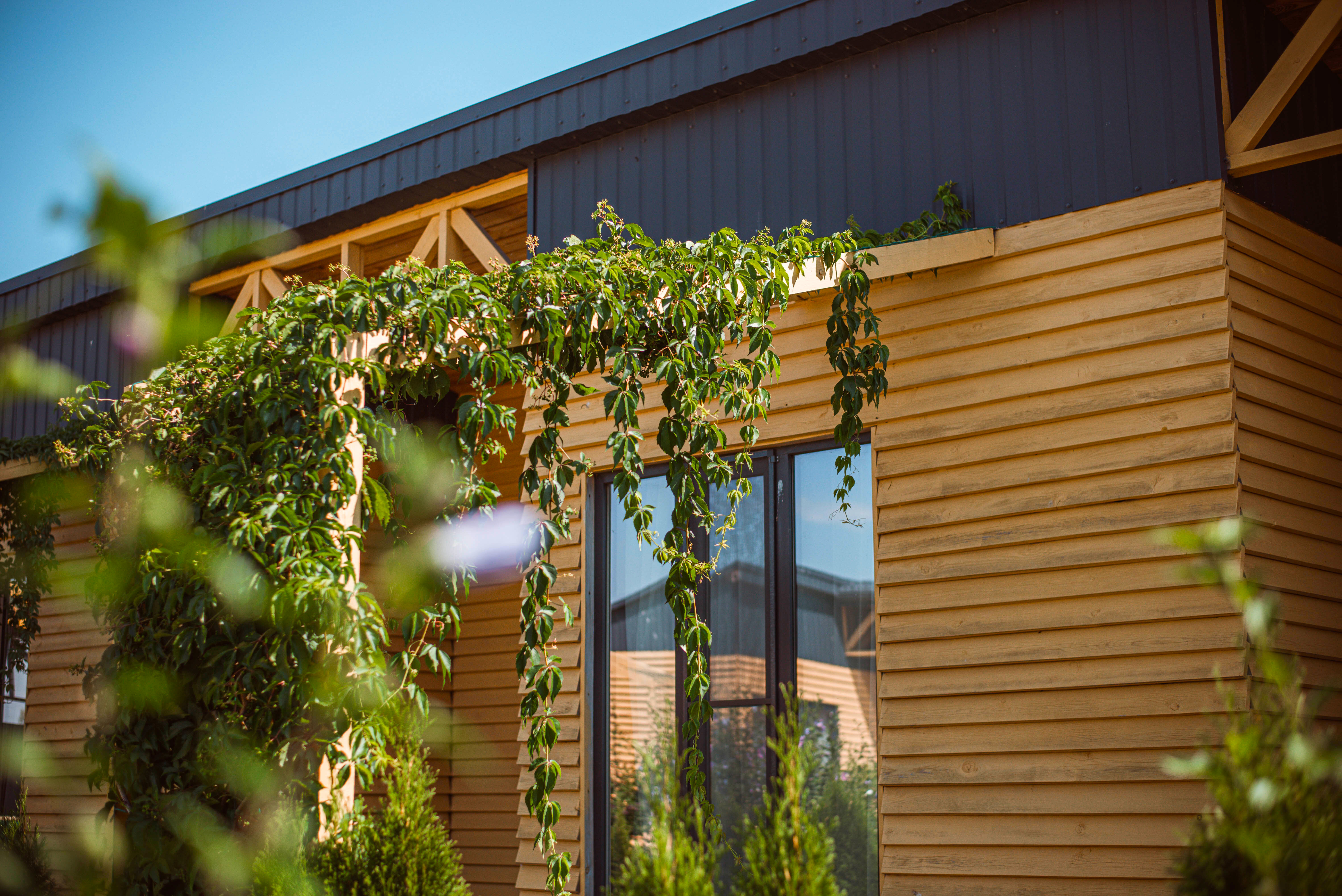 Фото Усадьба Дивноморье