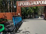 Light (Юбилейный проспект, 17А), alquiler de scooters
