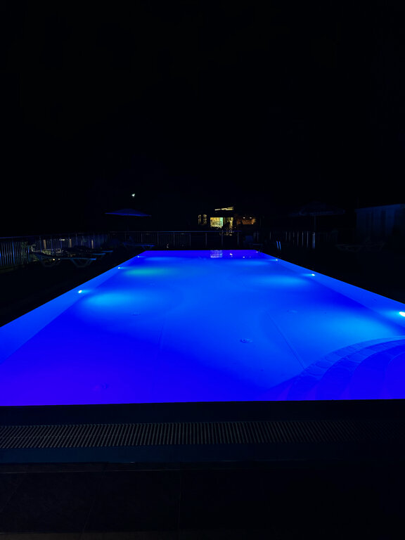 Фото Примула