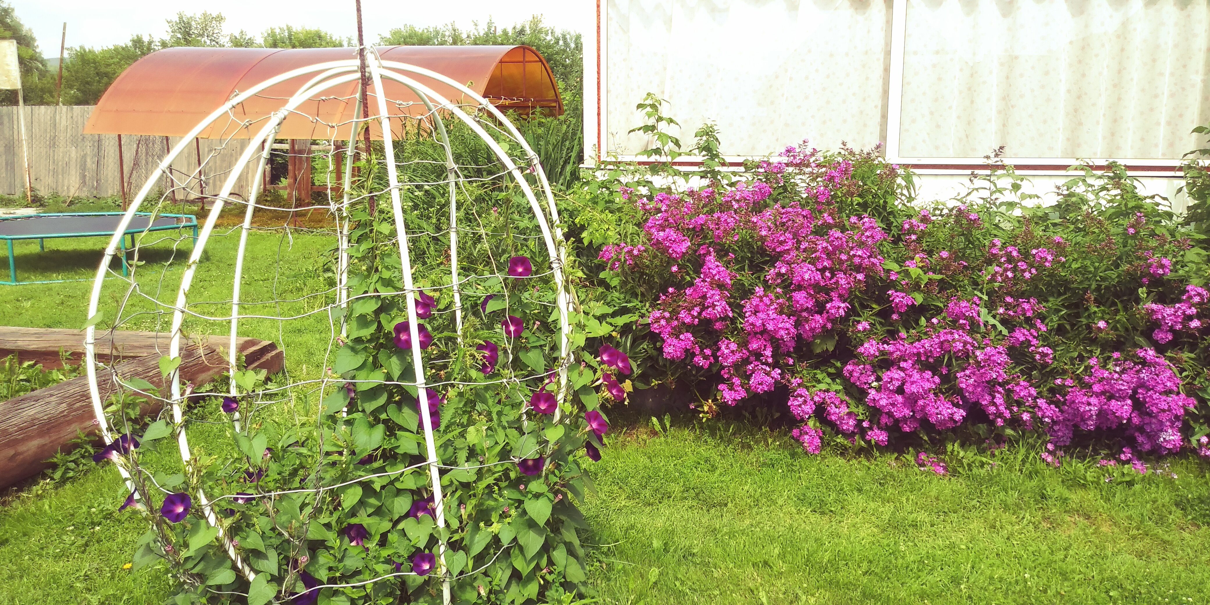 Фото Время счастья