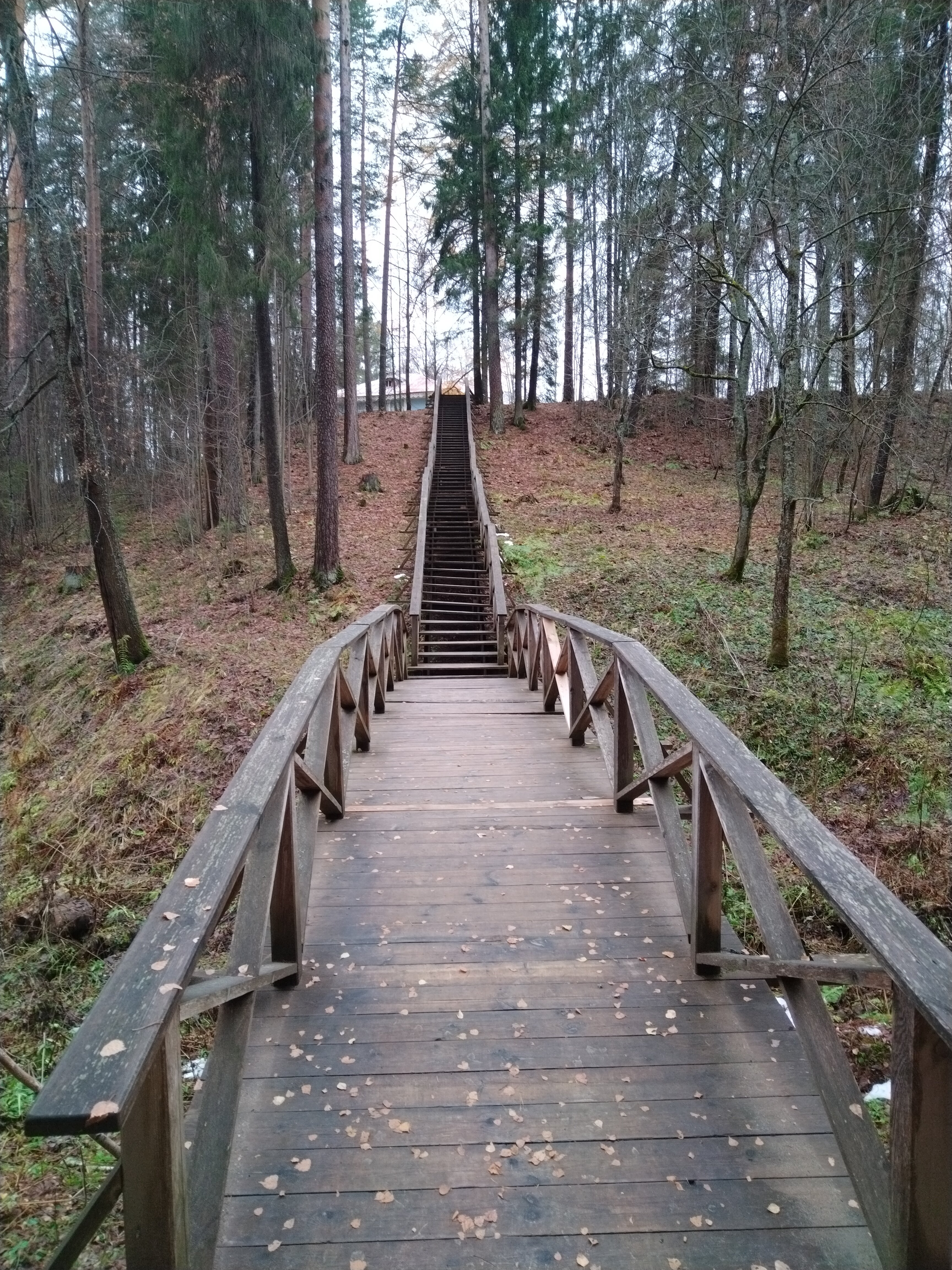 Фото Санаторий Щелыково