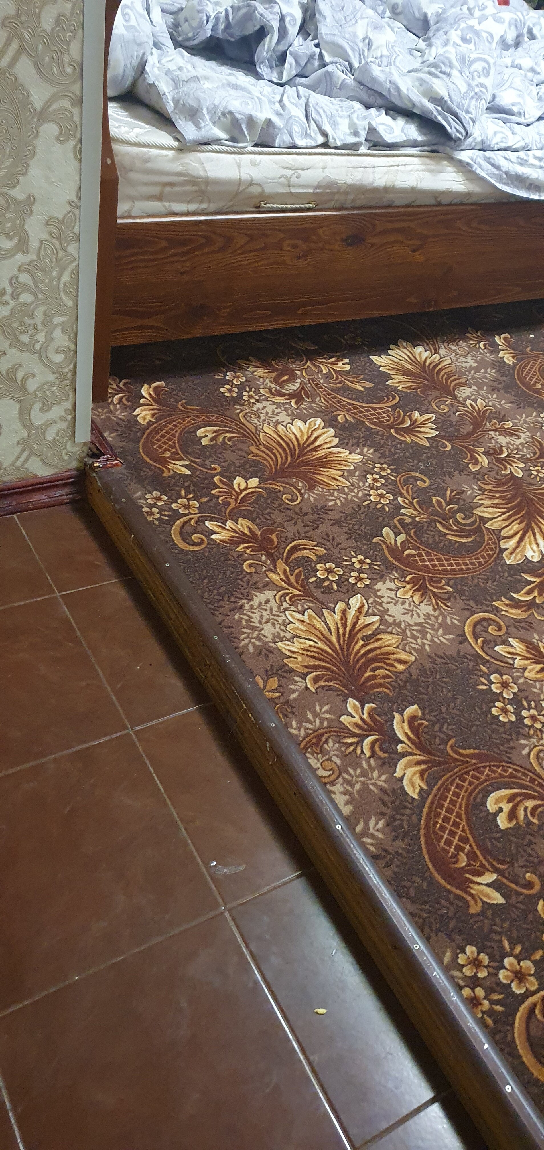 Фото Москва