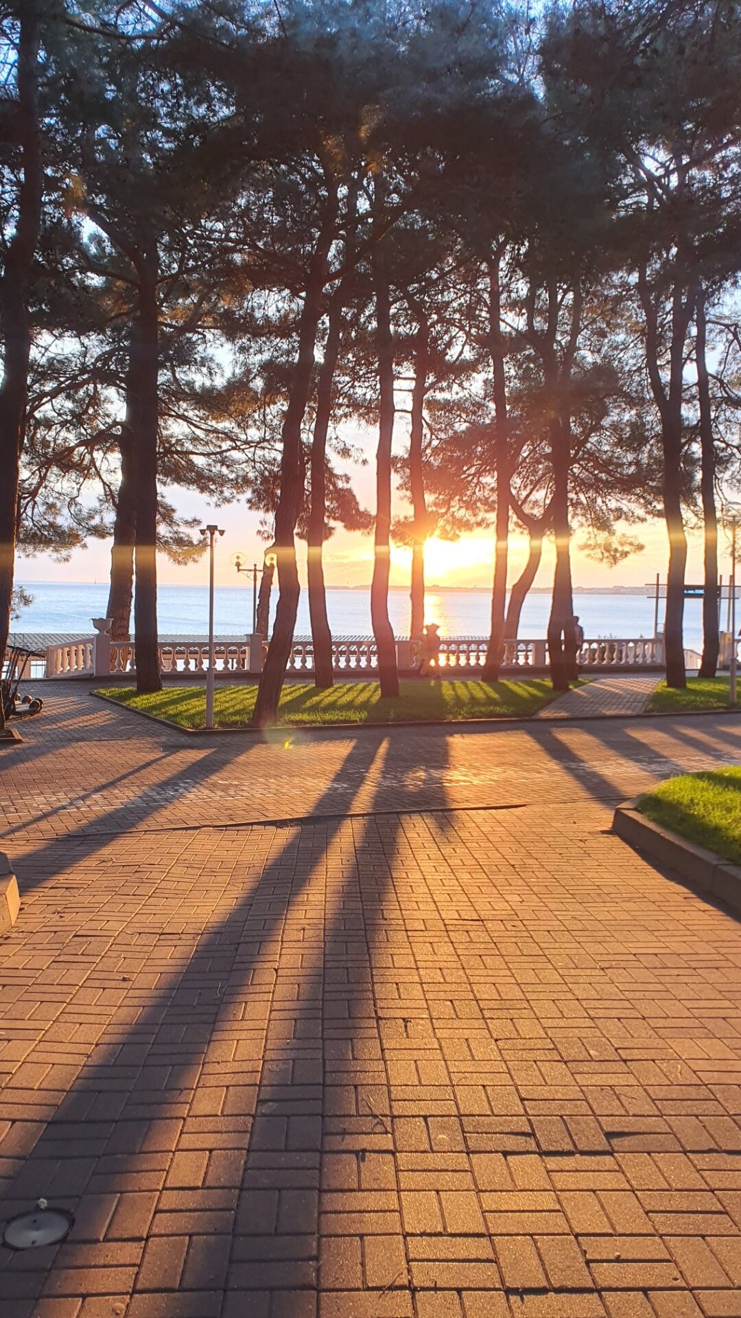 Фото Анамеро