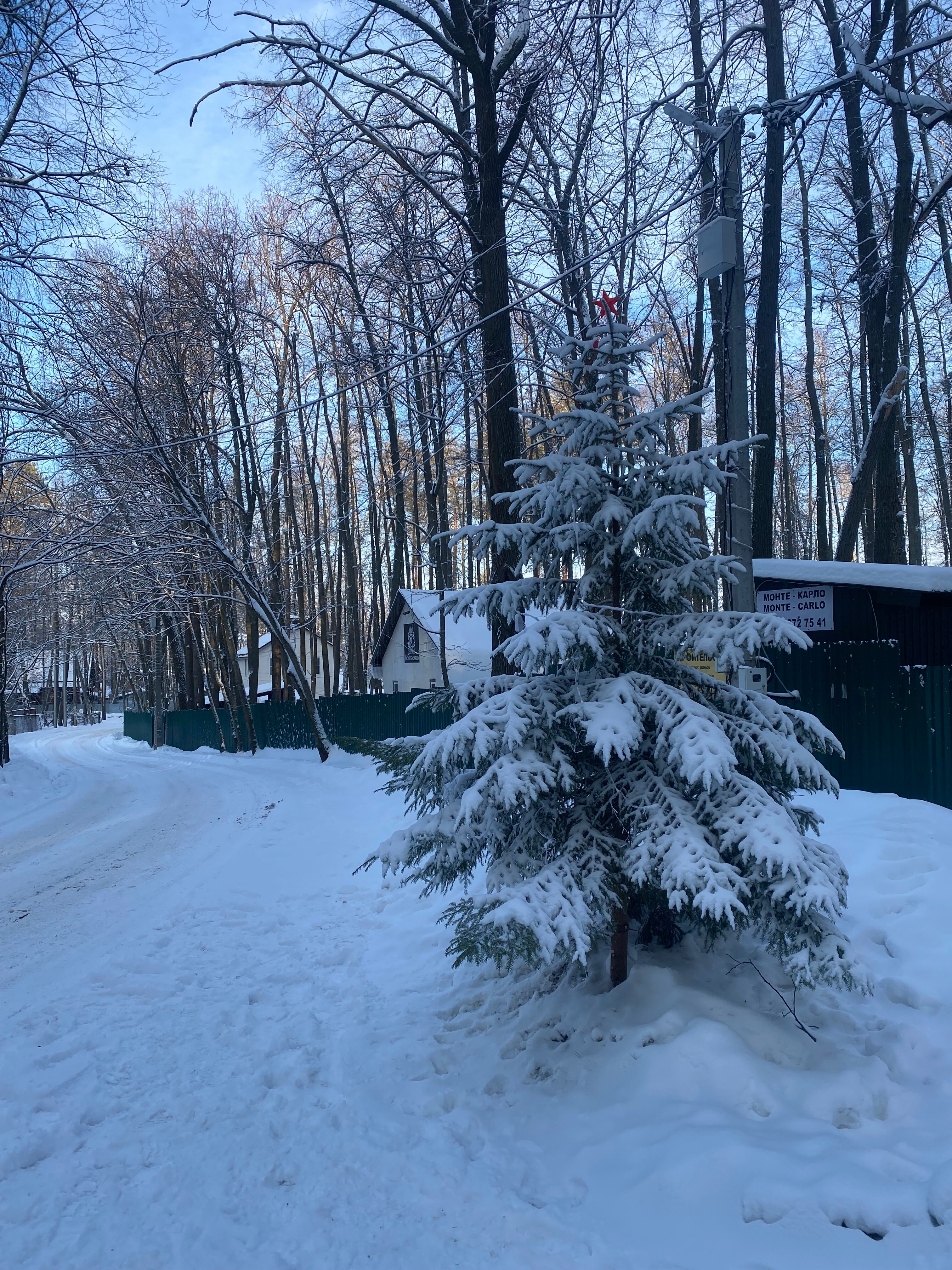 Фото Монте-Карло