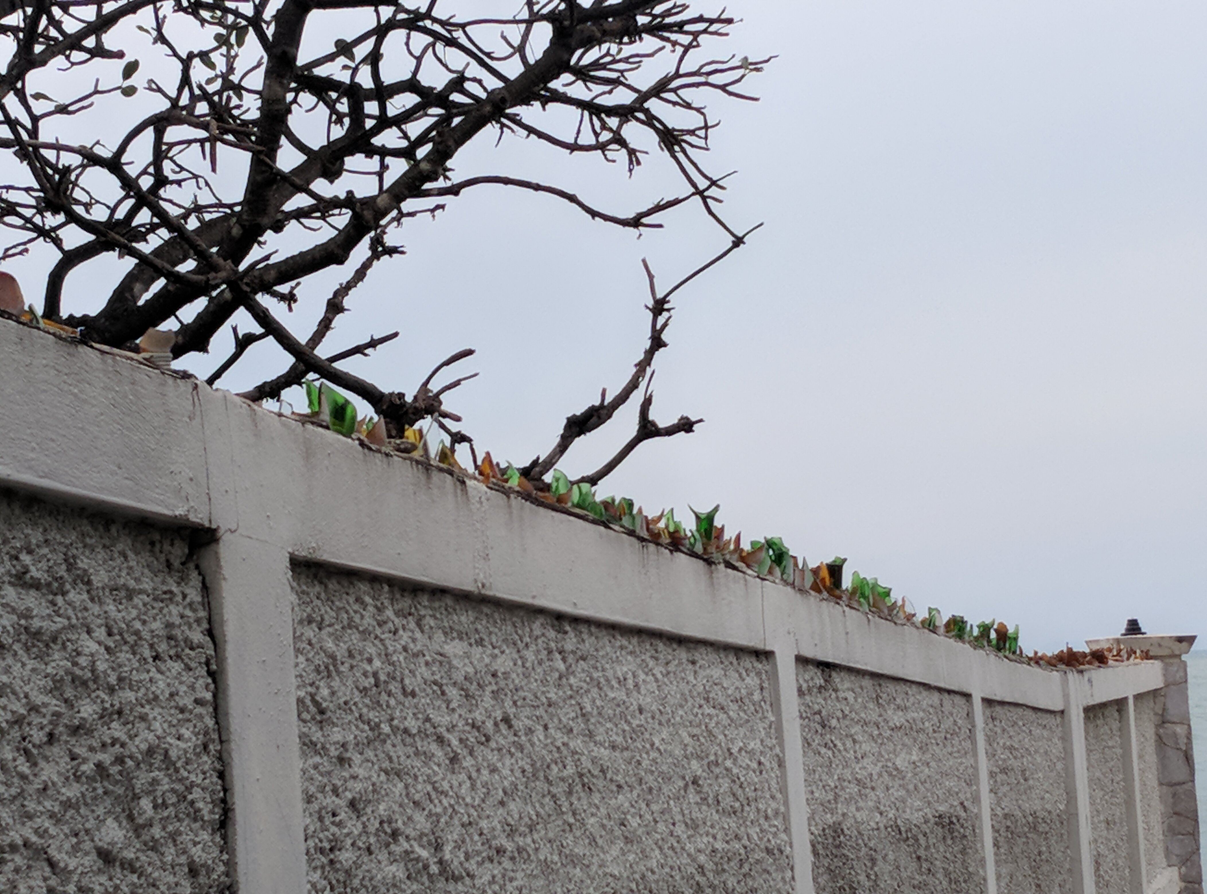 Фото The Palm Wongamat Beach Pattaya