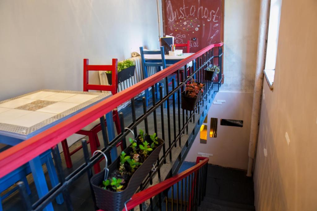 Фото Instahostel