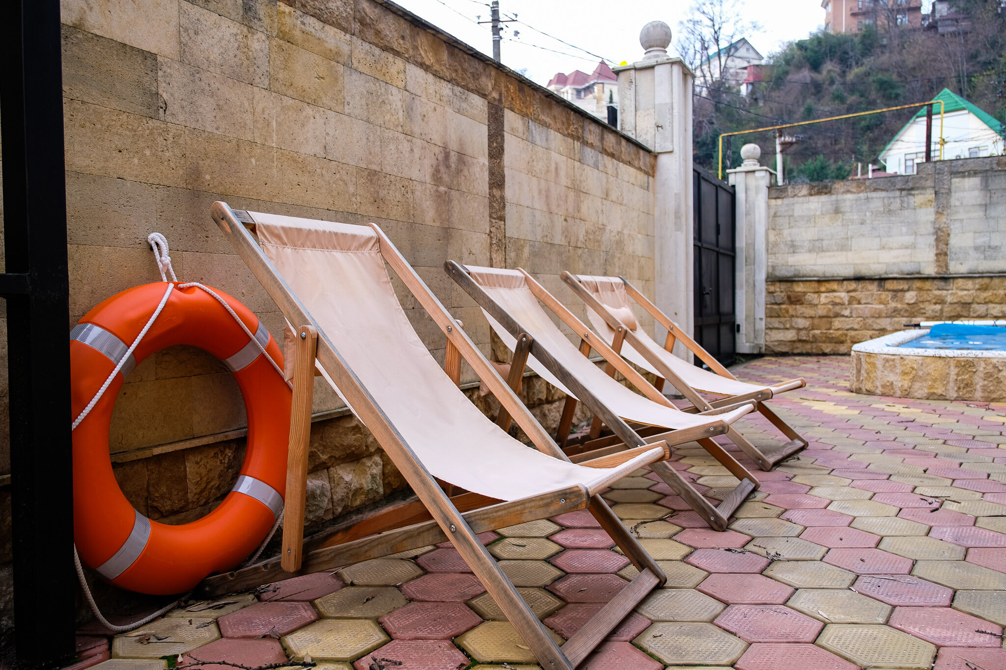 Фото О, Виноград