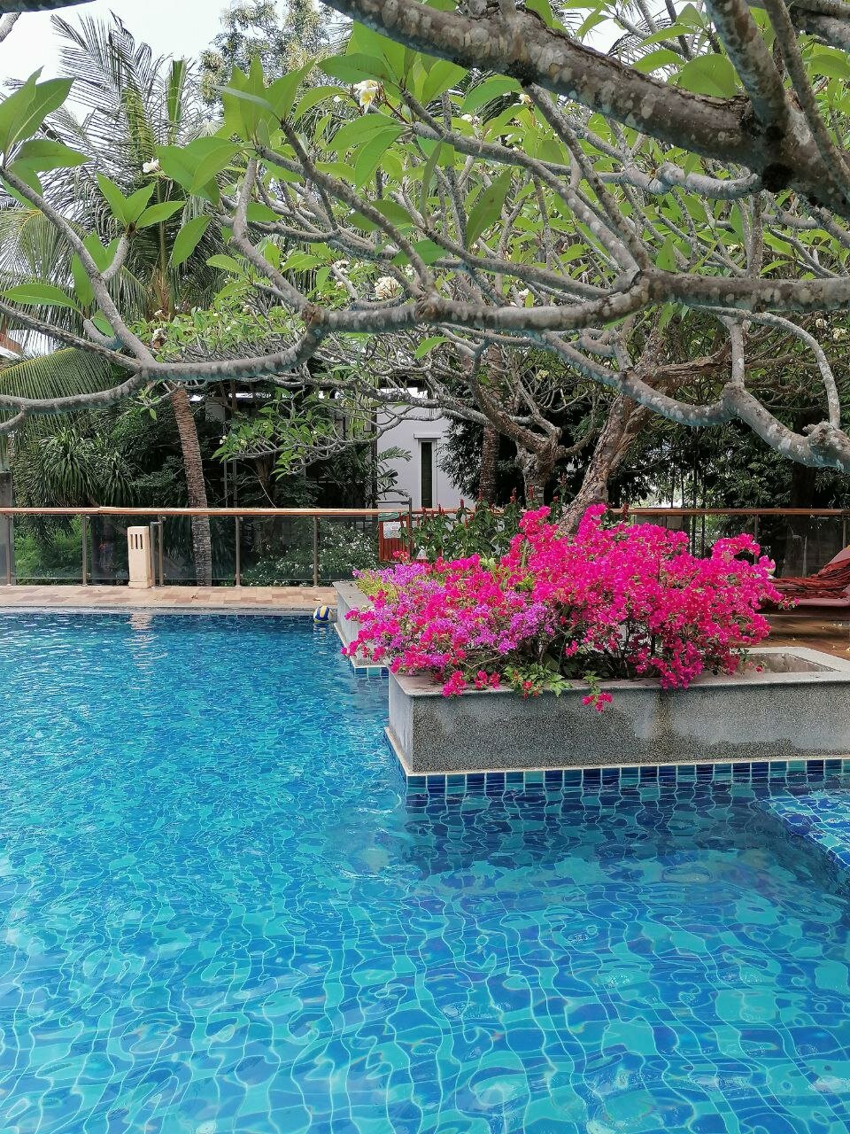 Фото Peach Blossom Resort & Pool Villa