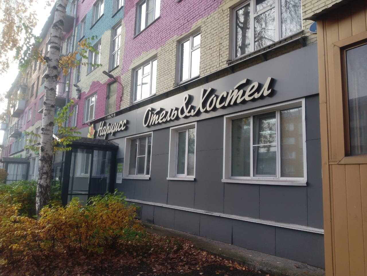 Фото Нарцисс