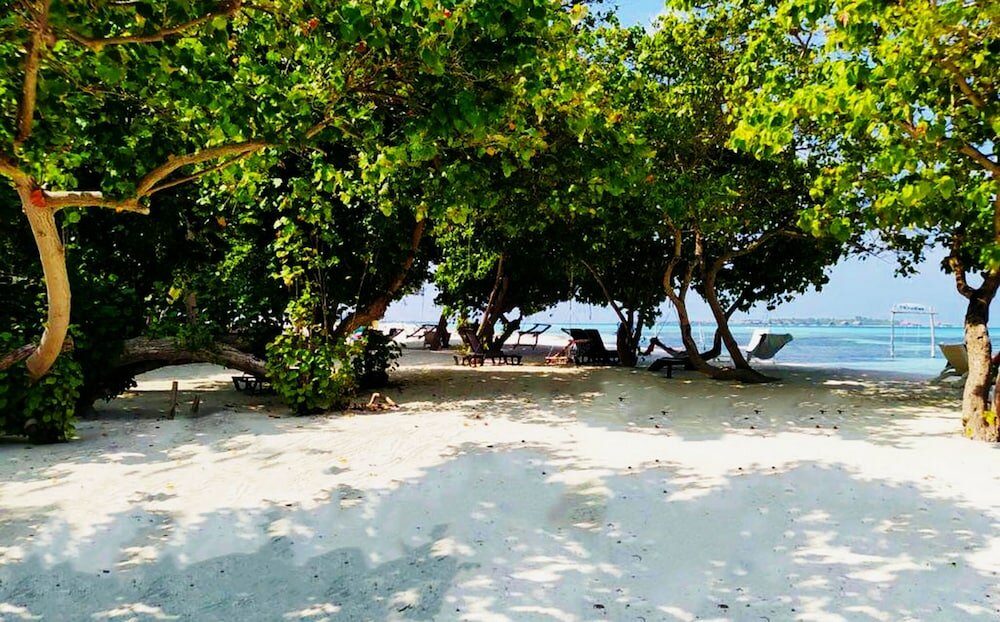 Фото Adroit Beach Inn