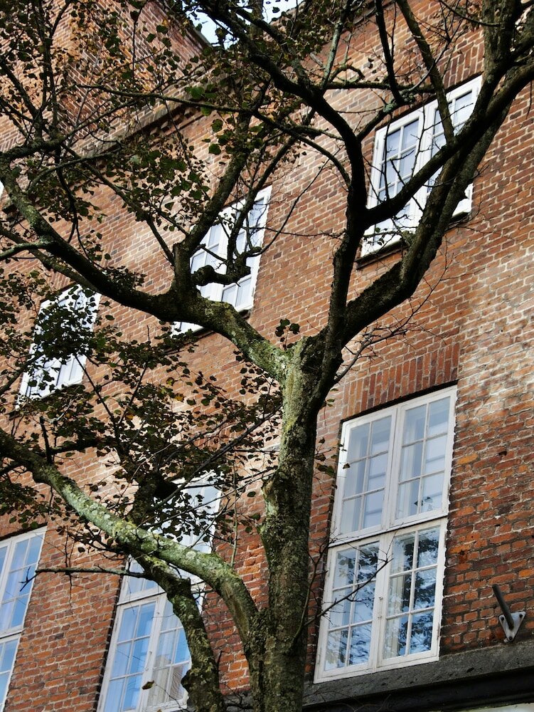 Фото Hotel Mageløs 12