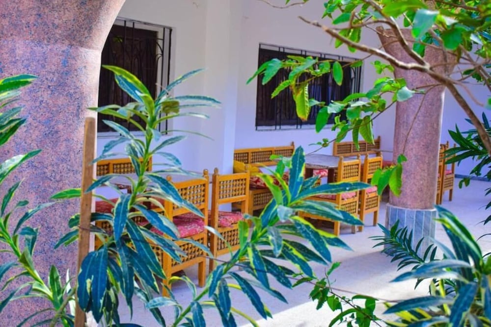 Фото Pharaonic Rose