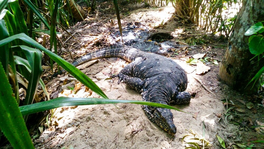 Фото Seashore Mirissa