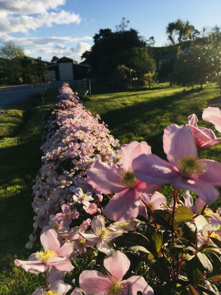 Фото Orchard View FarmStay Retreat