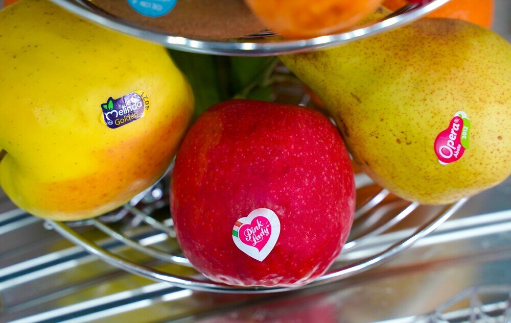 Фото B&b La Rotonda - Il Dolce Relax