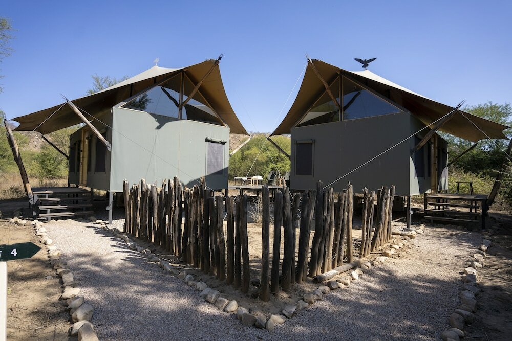 Фото Trees & Tigers