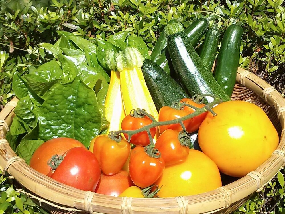 Фото Yado Kanzan