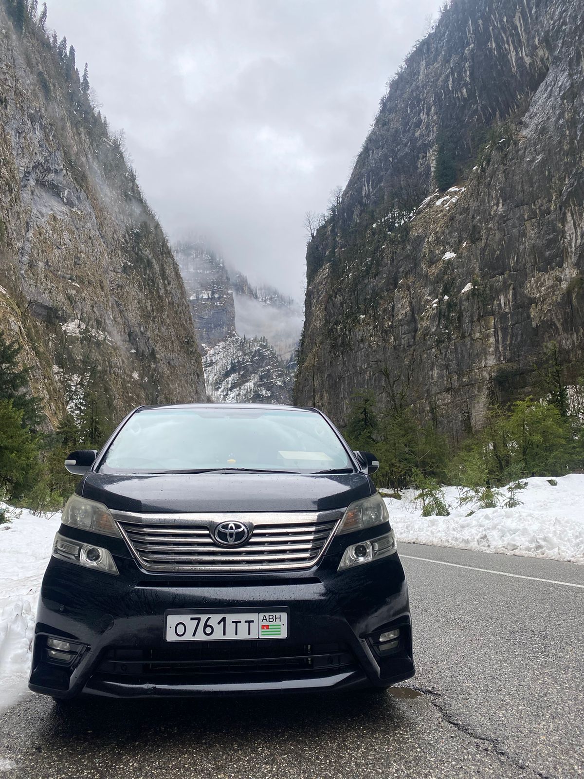 Фото Авокадо