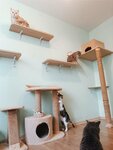 Антрекот (Novo-Sadovaya Street, 30) ، فندق للحيوانات الأليفة