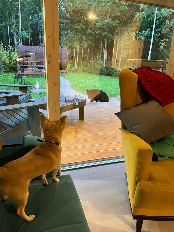 Фото Ёlki Черемыкино