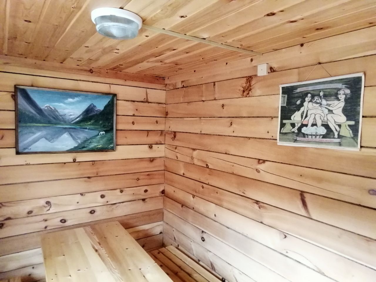 Фото Зеленые горки