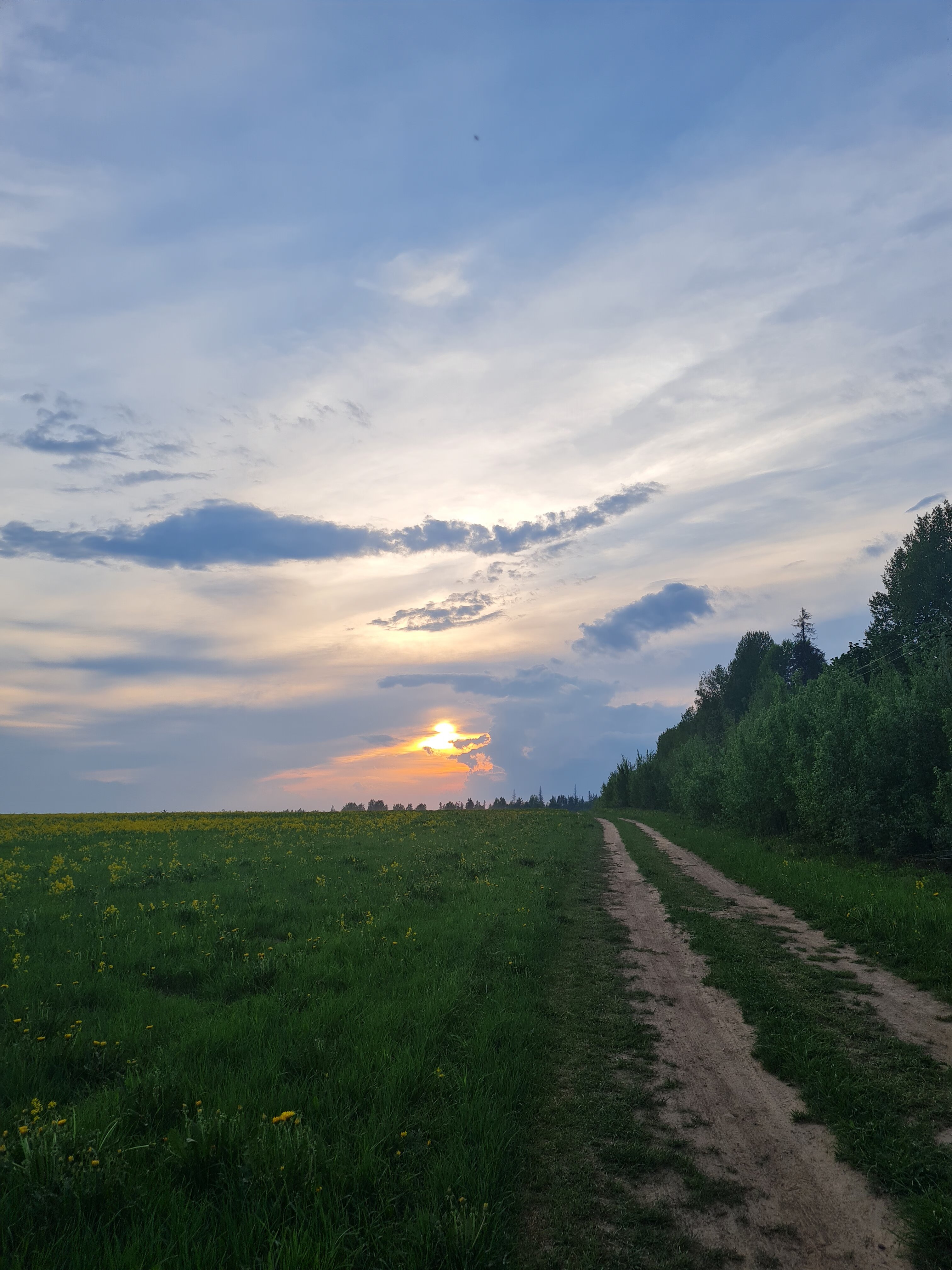 Фото Green Forest