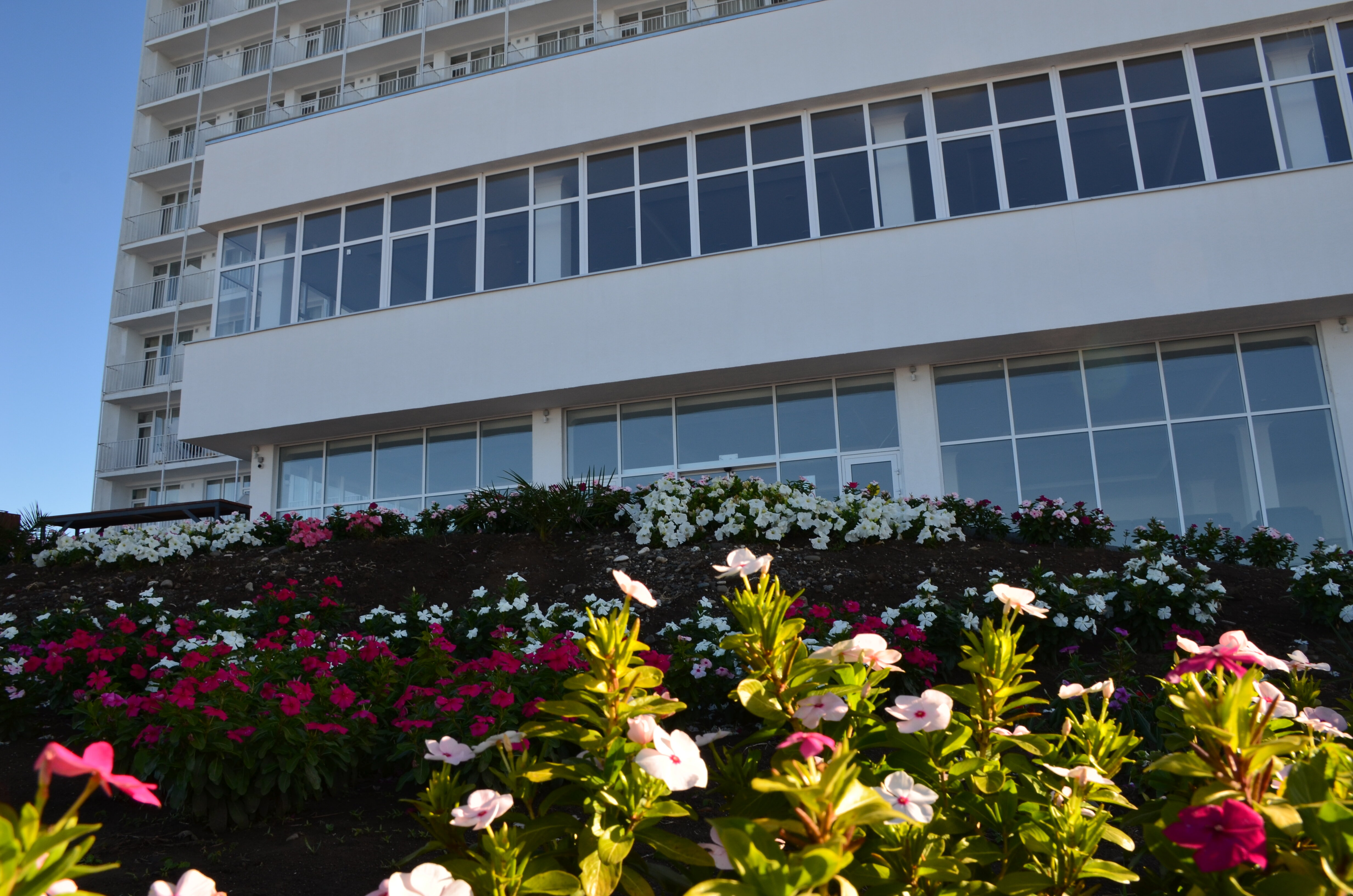 Фото Черноморская жемчужина