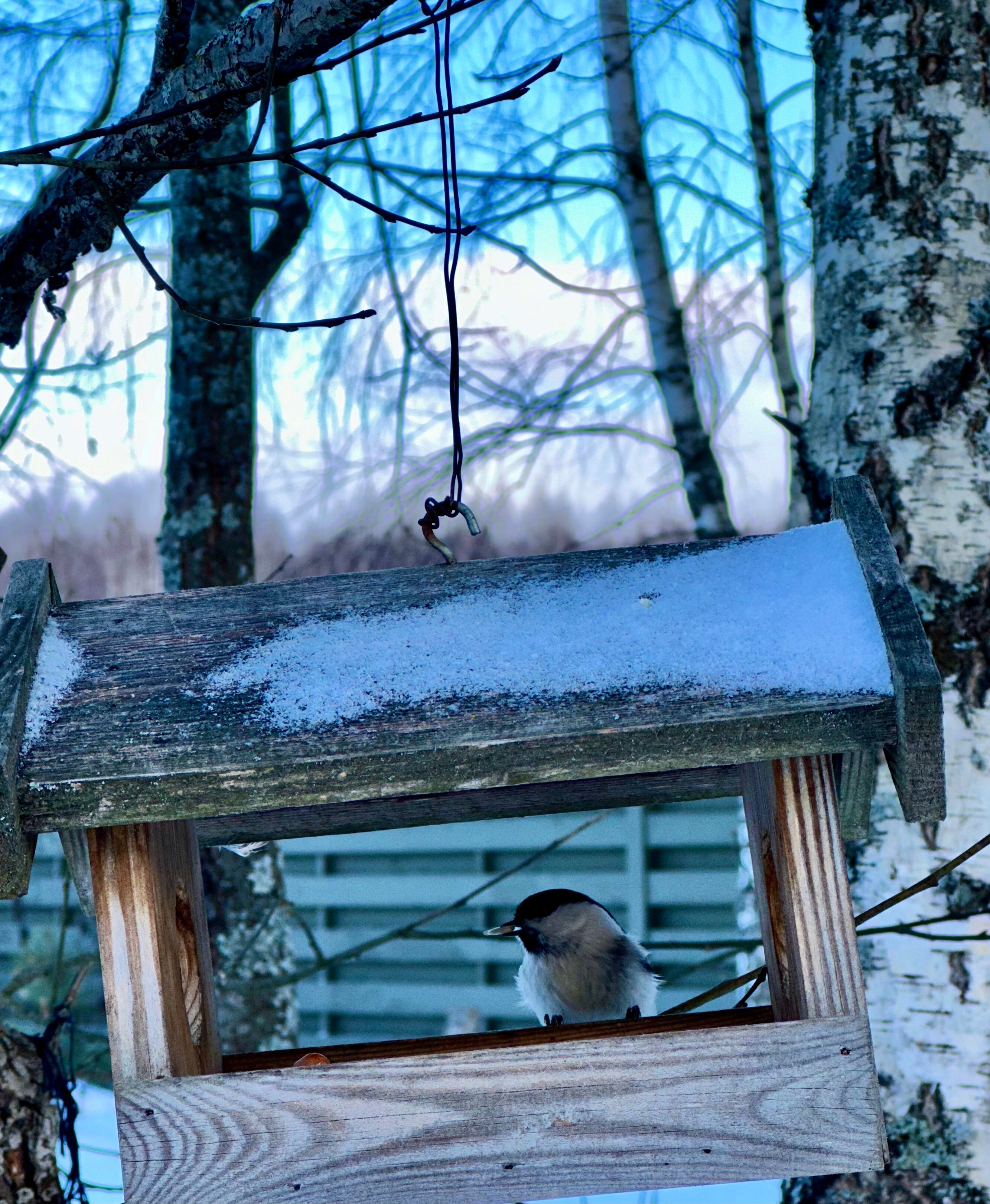 Фото Рузские Горки