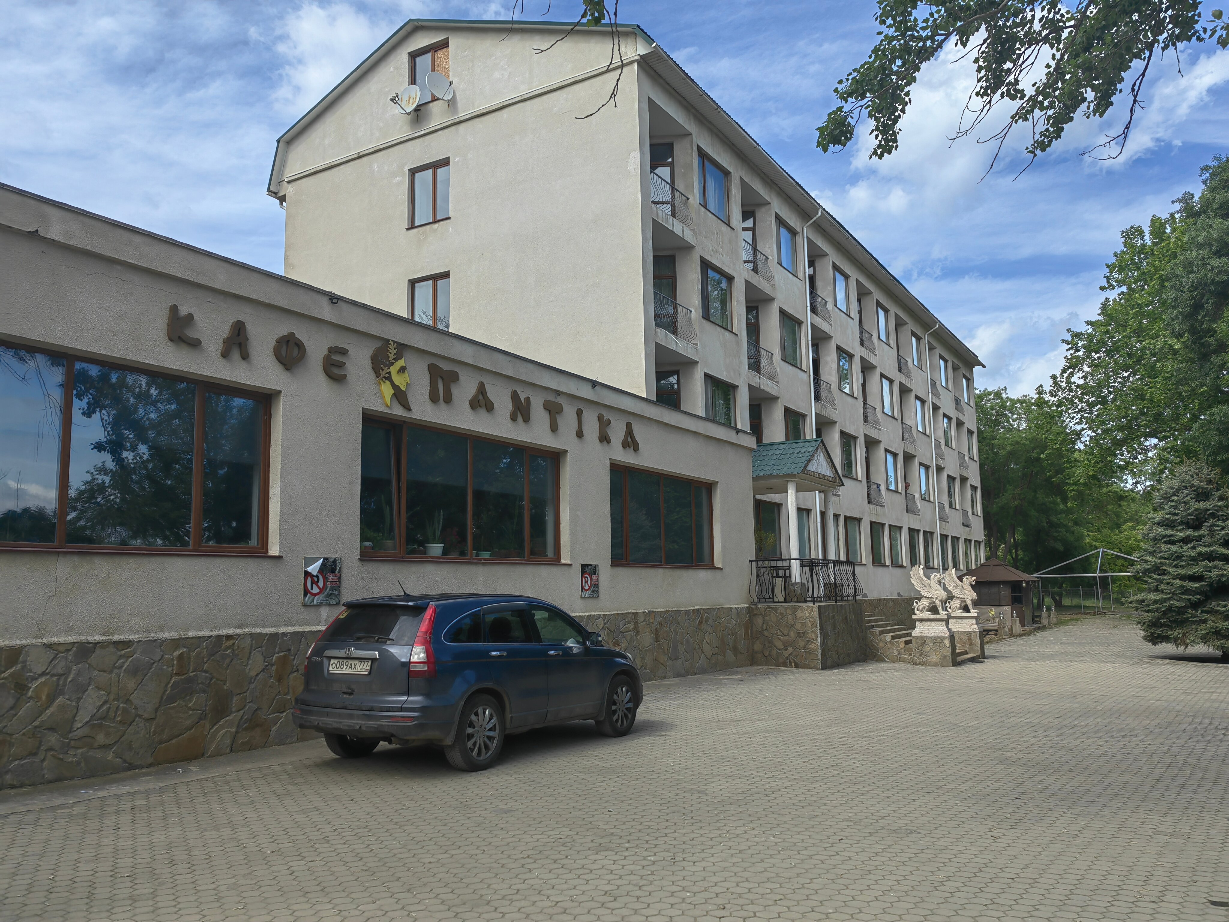 Фото Мечта Тея