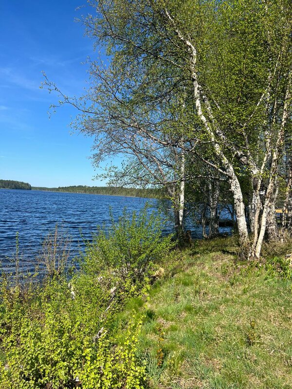 Лахтанпера — фото 45