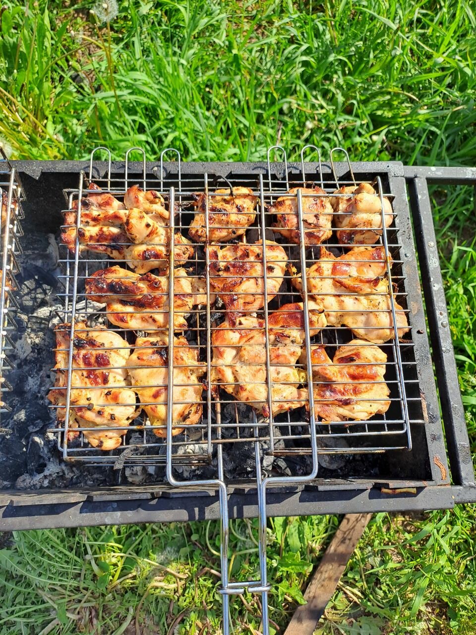 Фото Ёлки-Палки