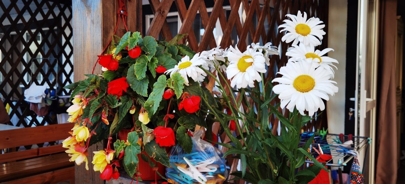 Фото Гостевой дом в Приморском