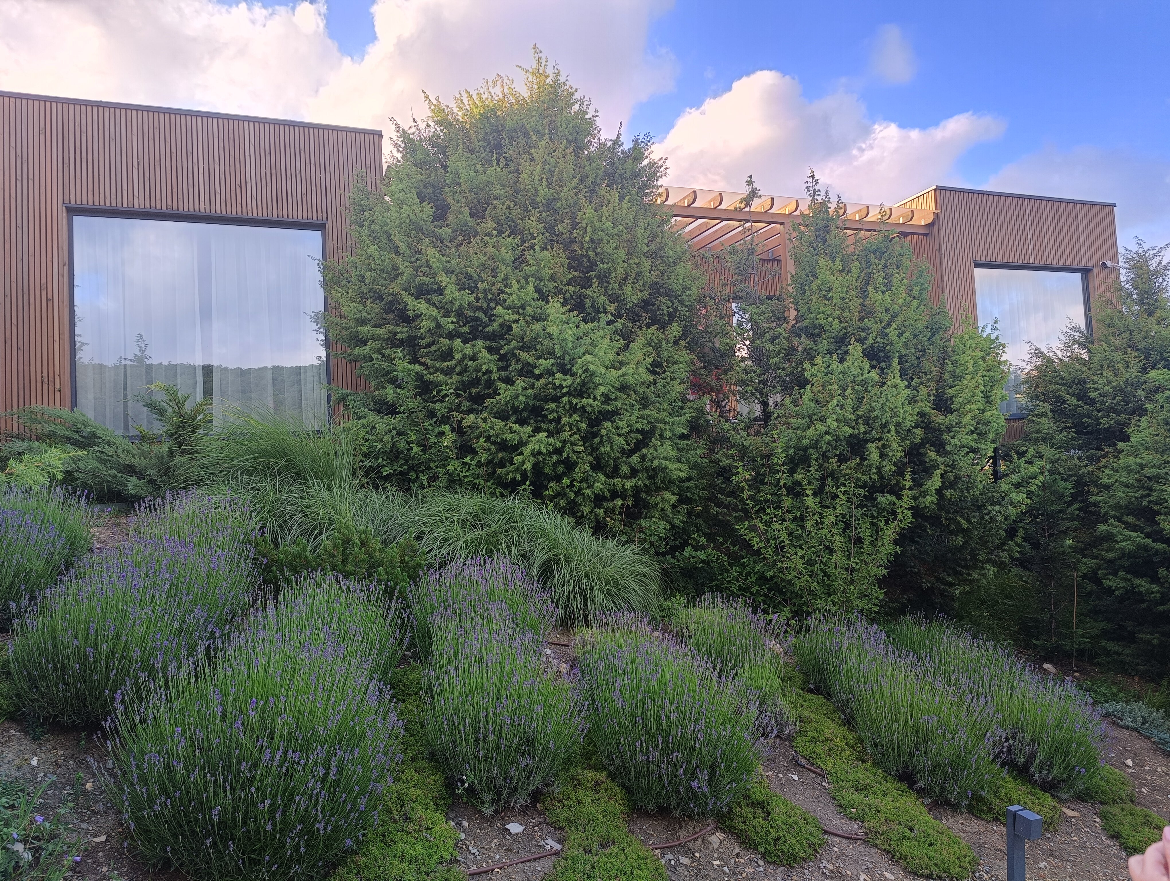 Фото Заповедный коттедж