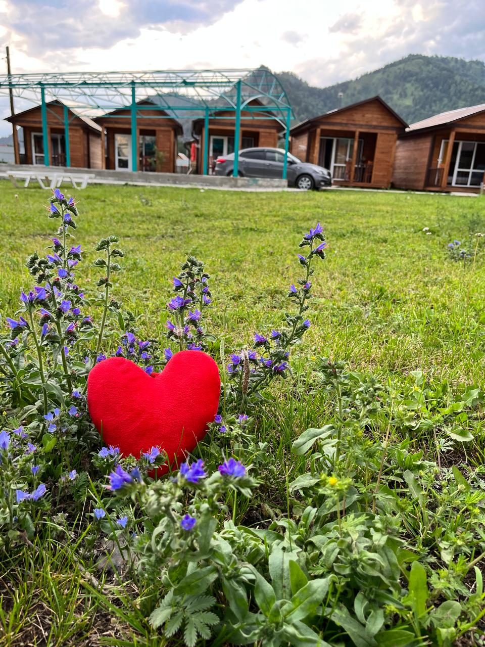 Фото Алтай Про100 отдых