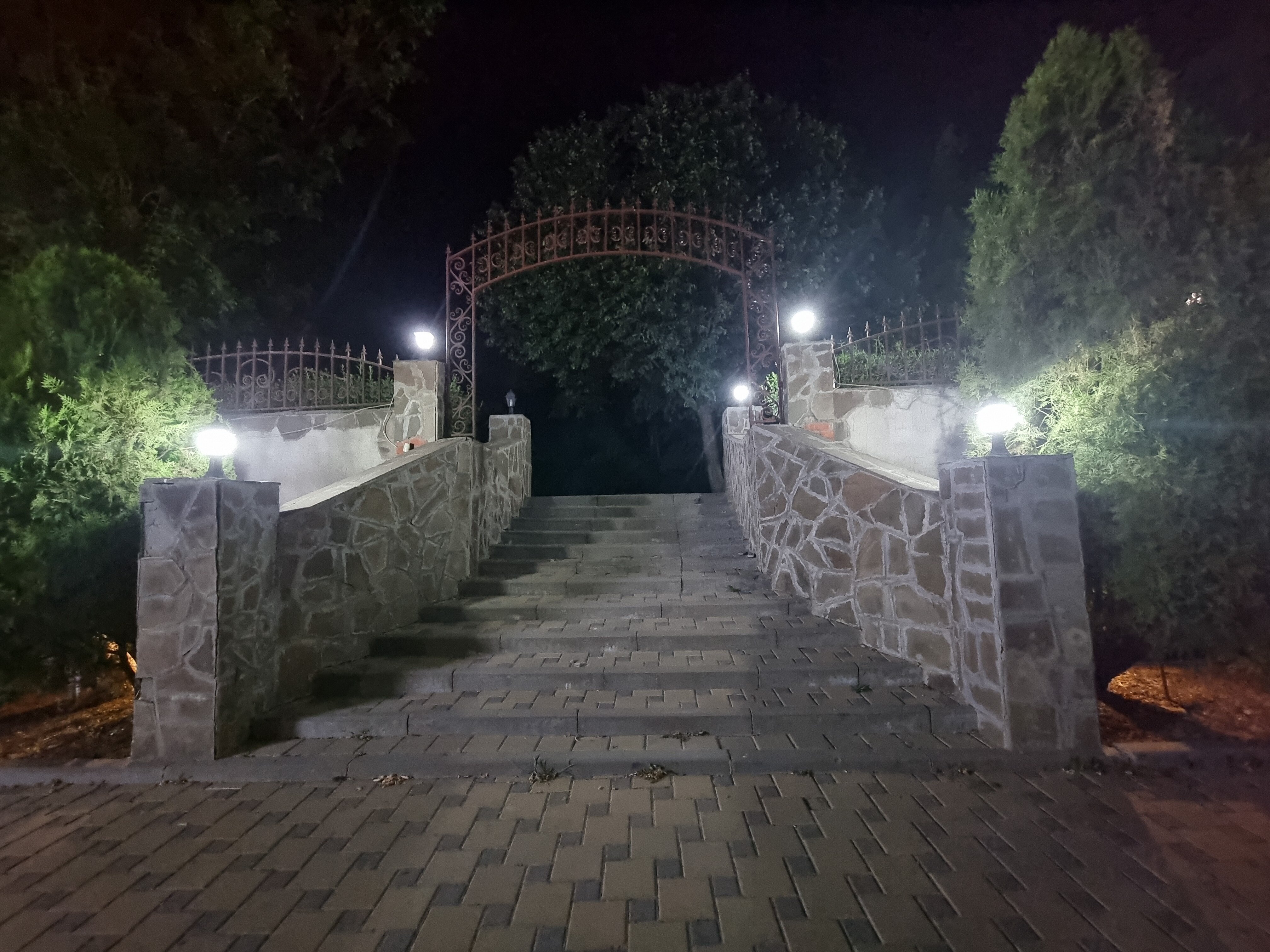 Фото Каштан