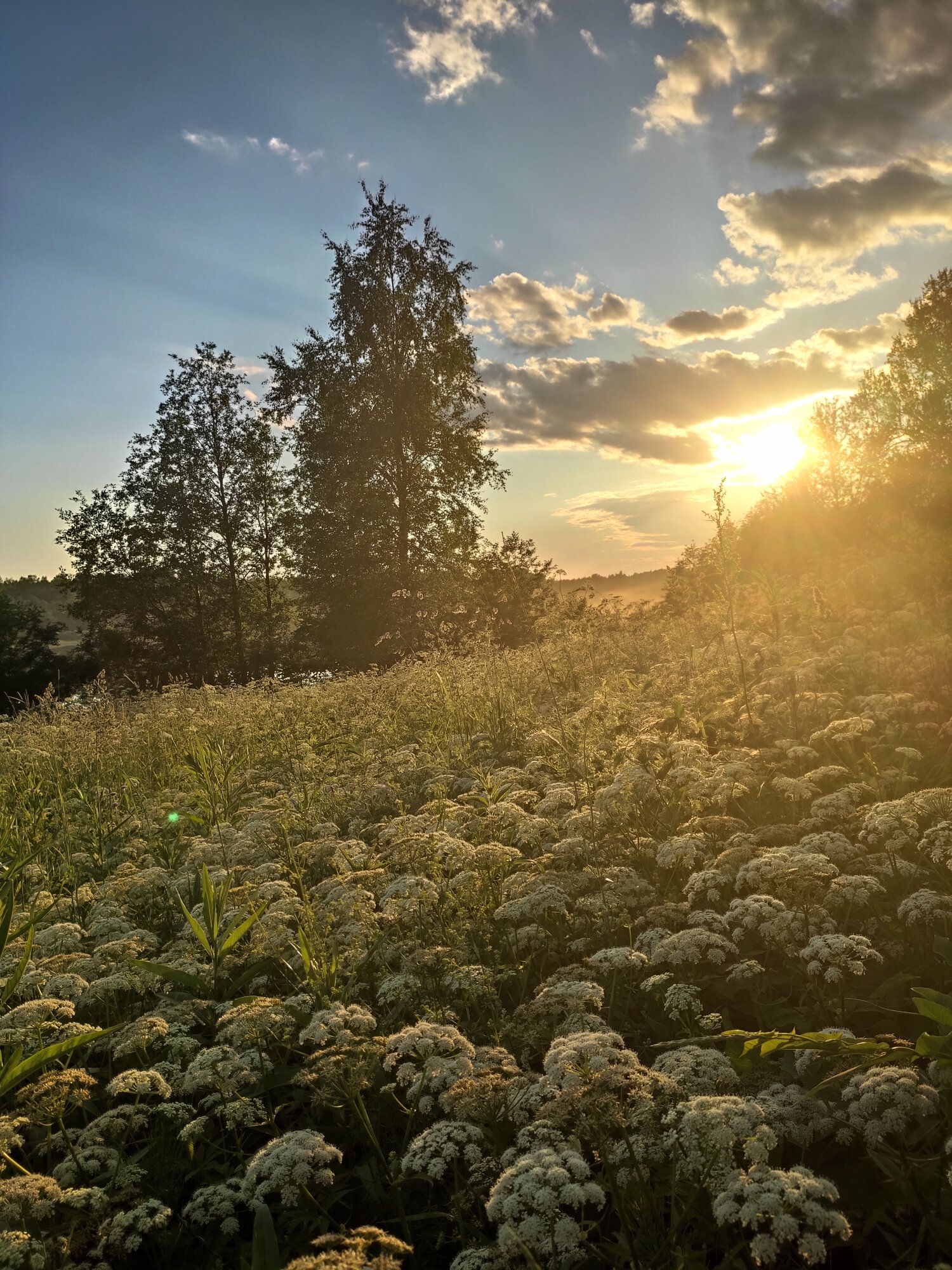 Фото Seliger69.ru