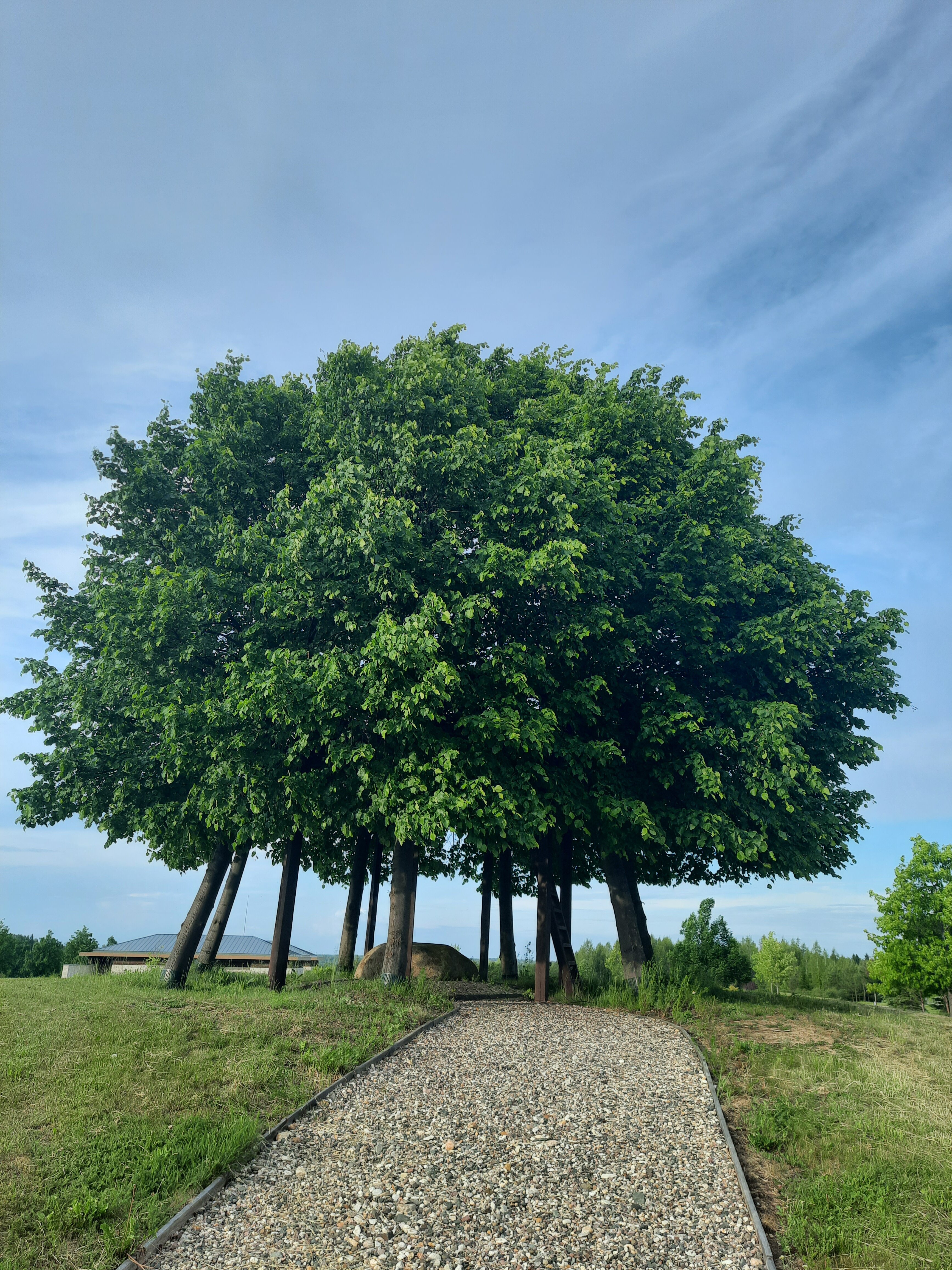 Фото Вилла Плёс