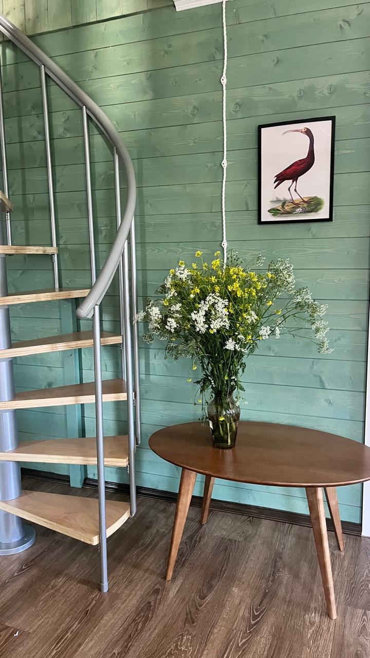 Фото Каренин