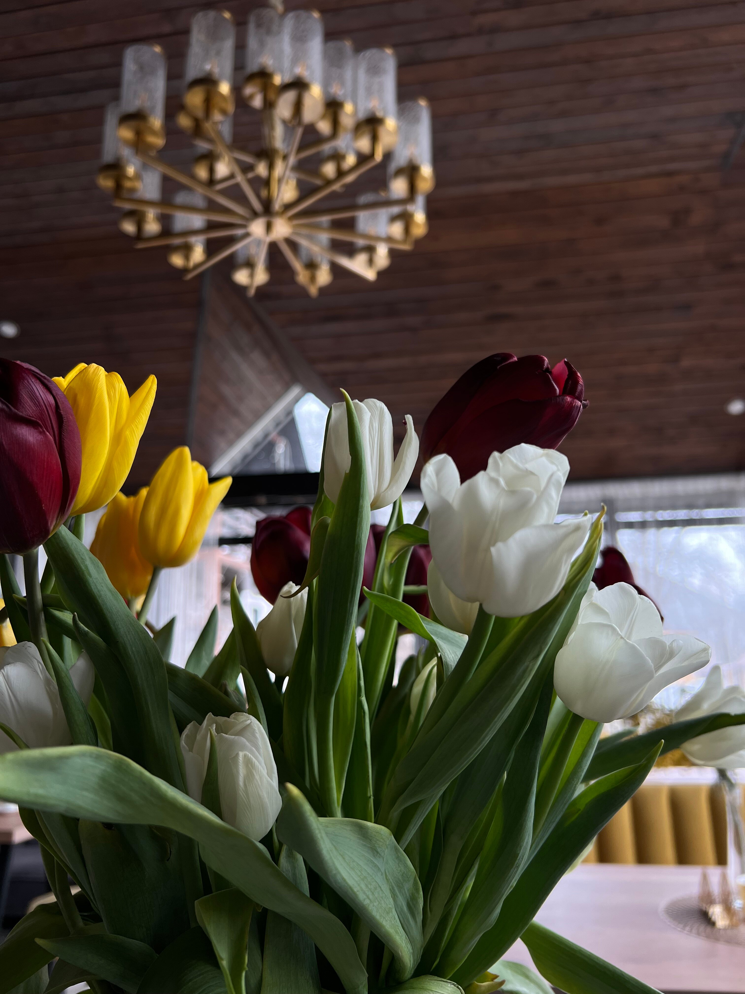 Фото Кристалл