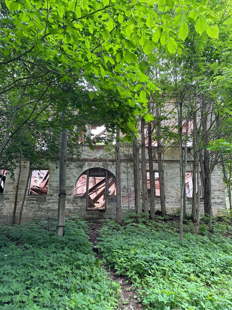 Landmark, attraction Main House of the Lopukhinka Estate, Saint‑Petersburg and Leningrad Oblast, photo